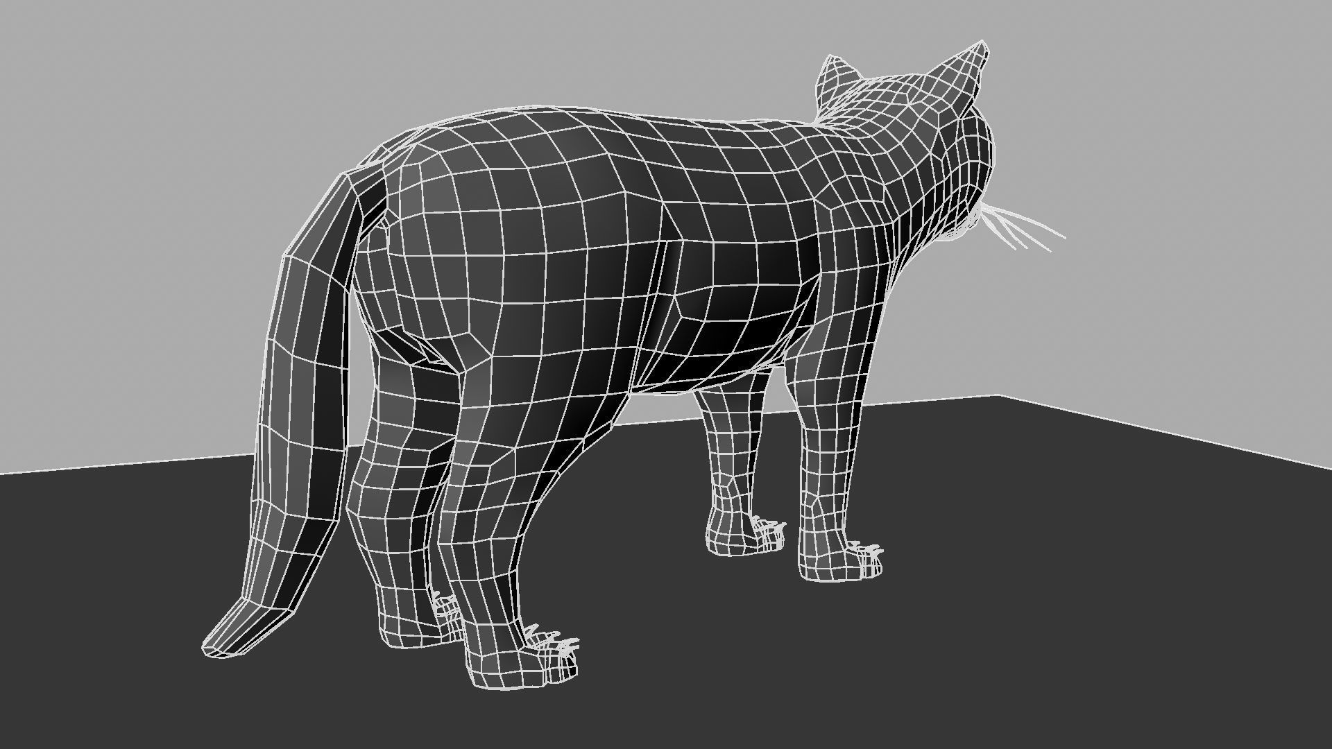 3D Cat with eyes 3D model_20