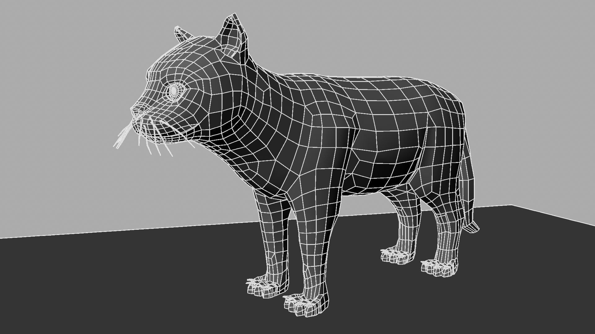 3D Cat with eyes 3D model_17