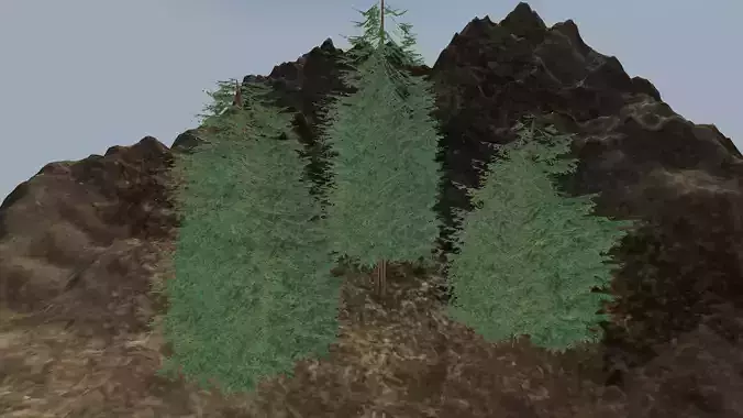 Low poly fir trees