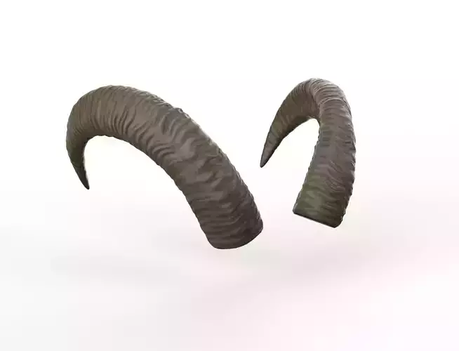 Middle horns of a goat Low-poly 3D model
