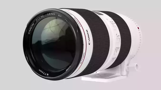 Canon Zoom Lens EF 70-200mm 1 2 8 L IS II USM