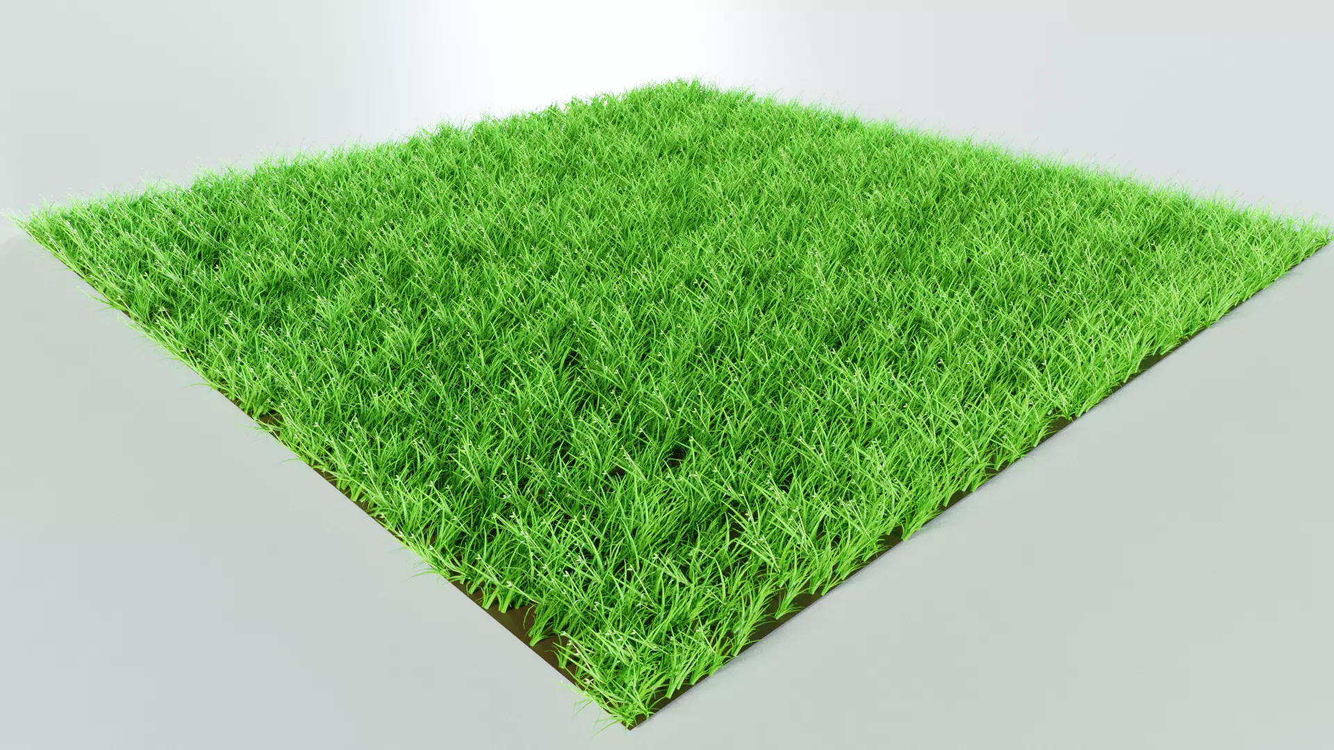 Grass 3D model
