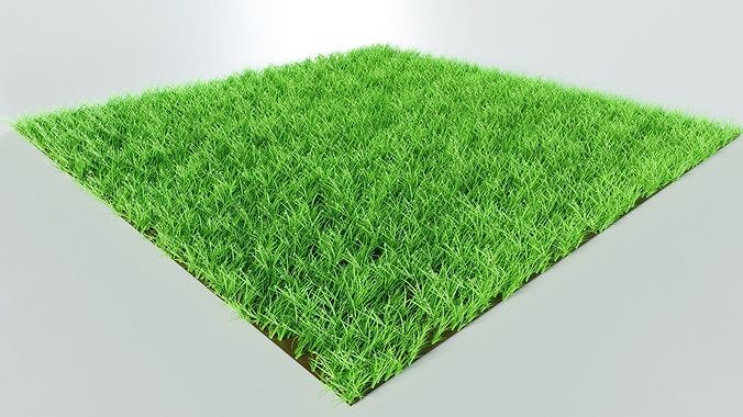 Grass 3D model