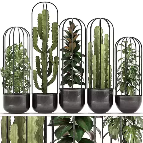 in black pots and flower beds 101