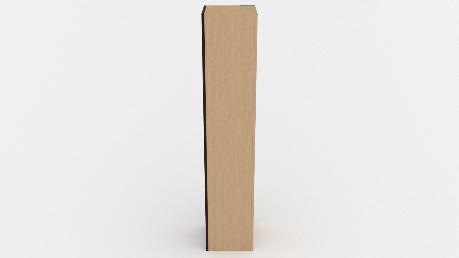 Exquisite Bookcase - 3ds Max 3D model_28