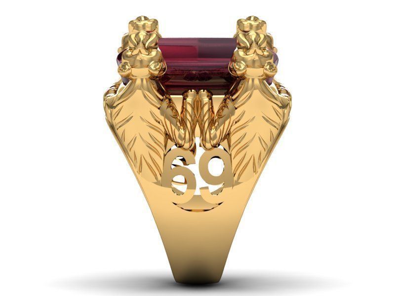 ring four tiger 3D print model_2