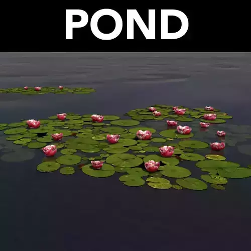 Pond with lily pads Low-poly 3D model