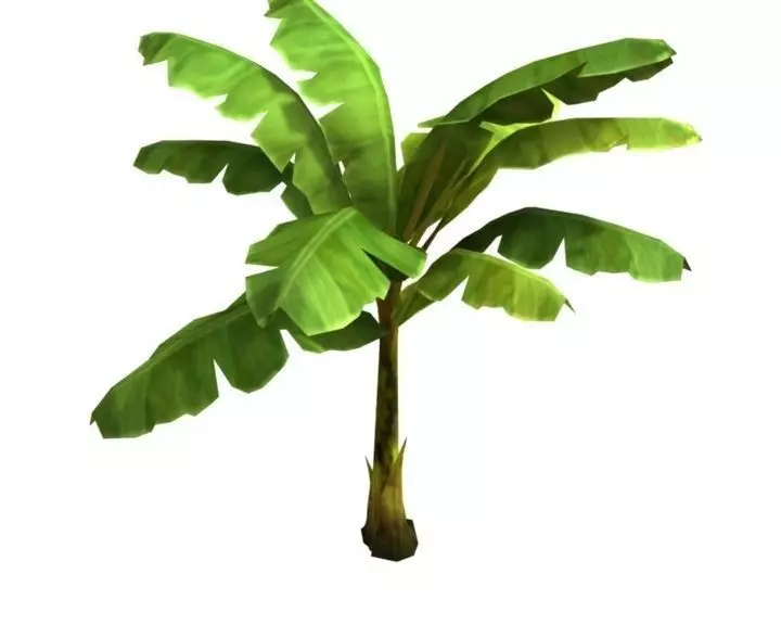 Banana tree Free low-poly 3D model