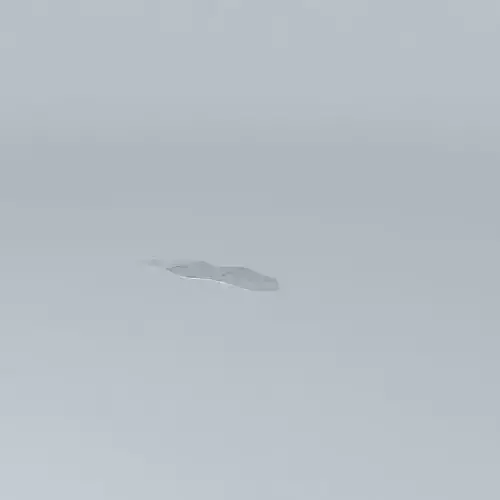 CARPET ANIMAL SKIN 1