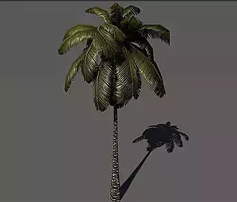 palm tree Free low-poly 3D model