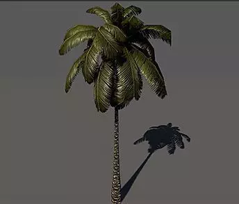 palm tree Free low-poly 3D model