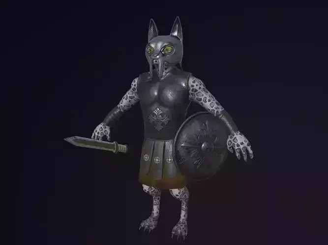 Cat Warrior Character