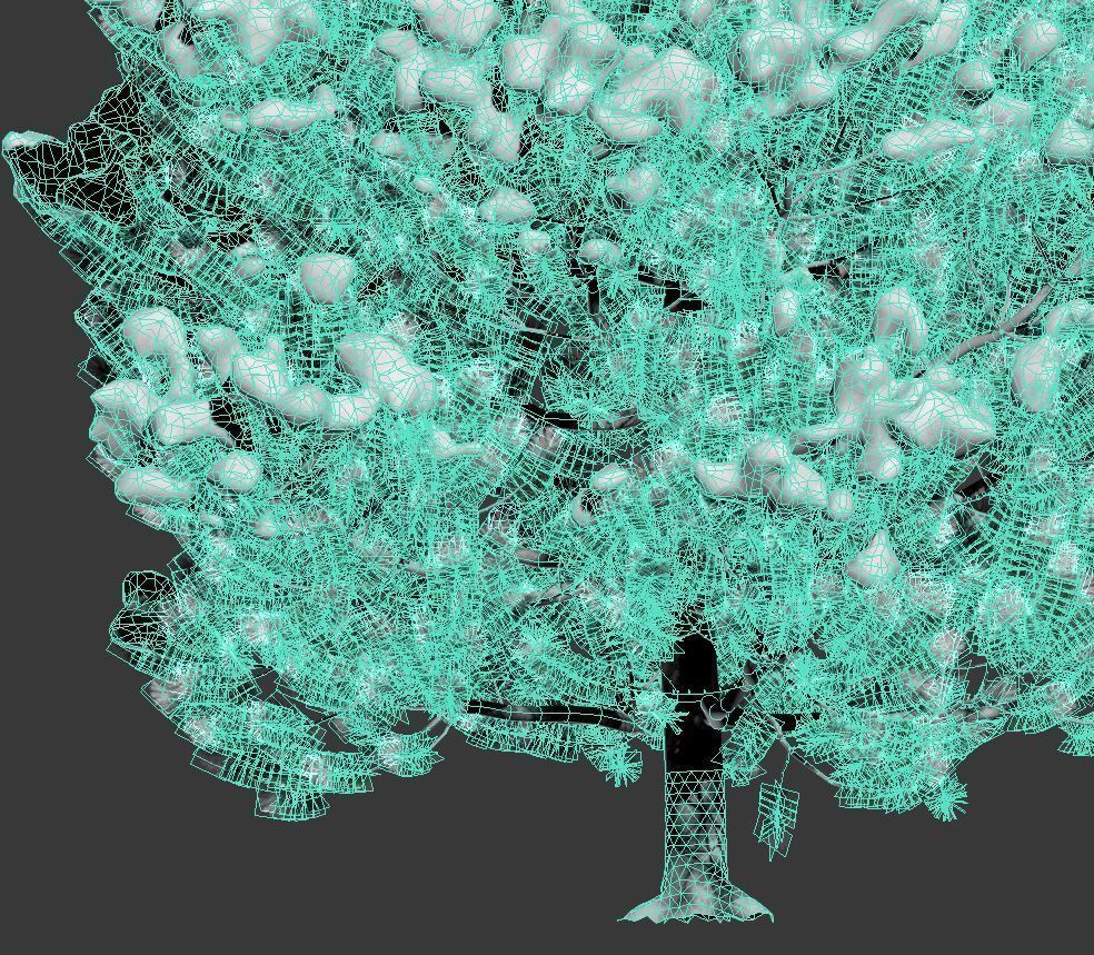 Pinus sylvestris Nr9 H3-6m Winter Five tree set 3D model_8