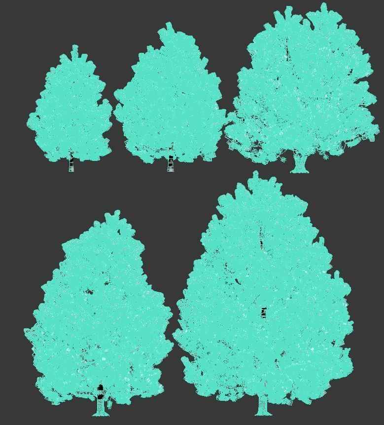 Pinus sylvestris Nr9 H3-6m Winter Five tree set 3D model_7