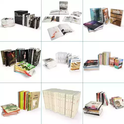 Books Collection 3D model