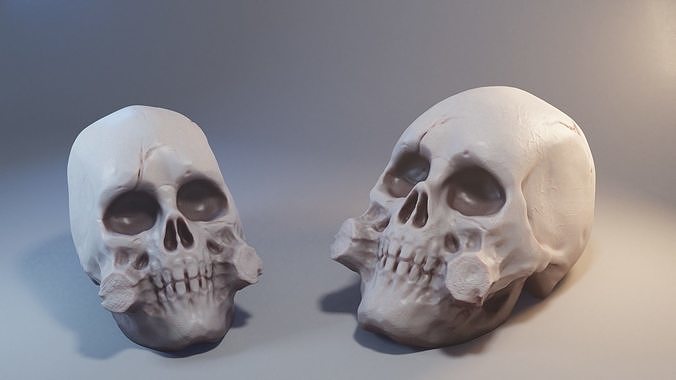 Skull model for 3D printer 3D print model