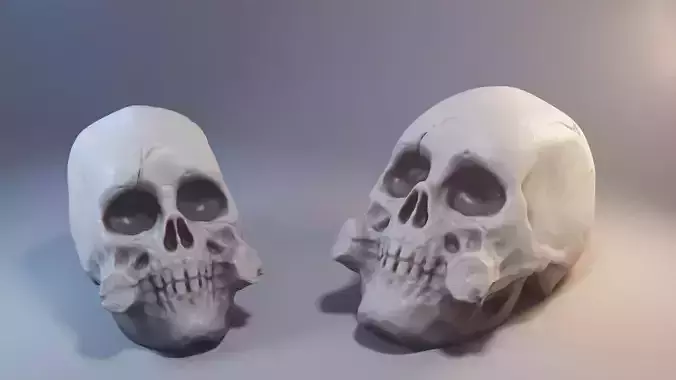 Skull model for 3D printer