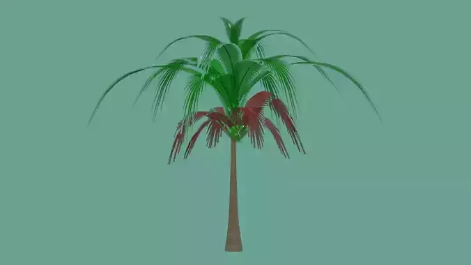 coconut tree Low-poly 3D model