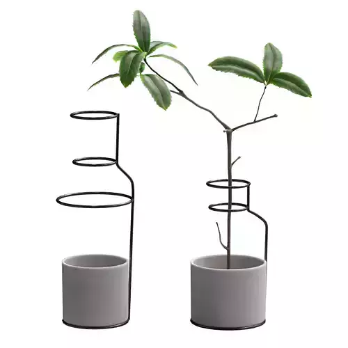 Plant in wire pots 3D model