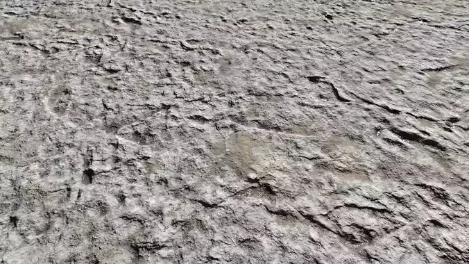 Arid and rough terrain set Texture