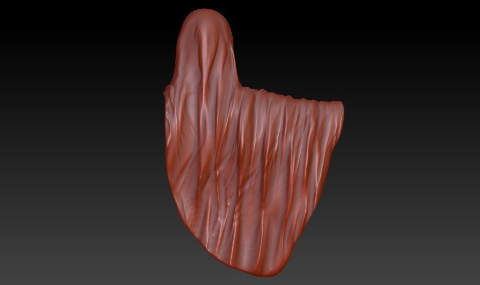 Fantasy rag  3D model_2