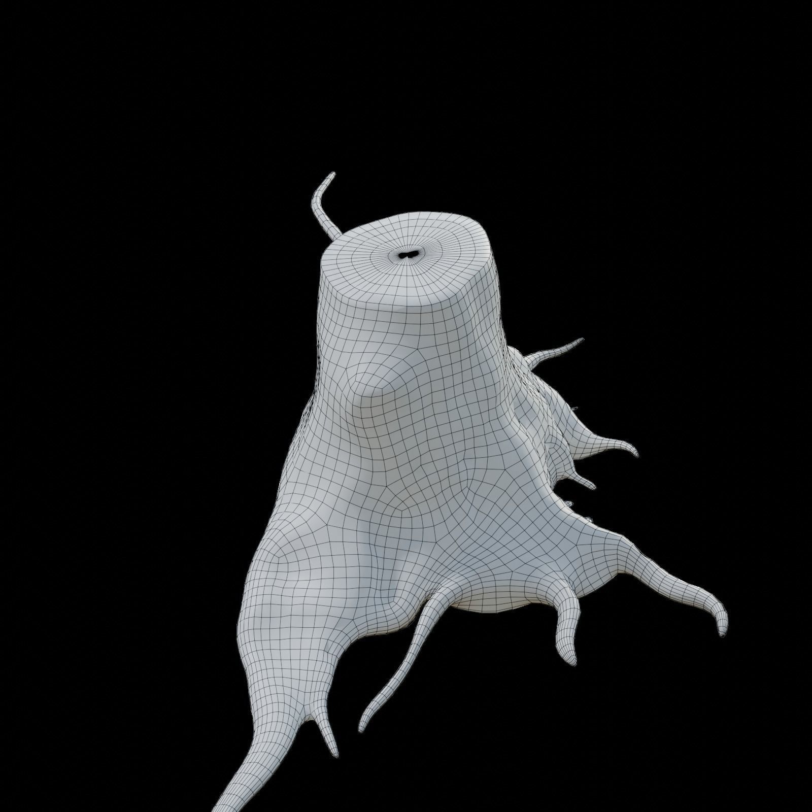 tree root 3D model_9