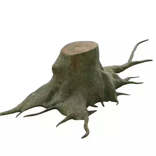 tree root 3D model
