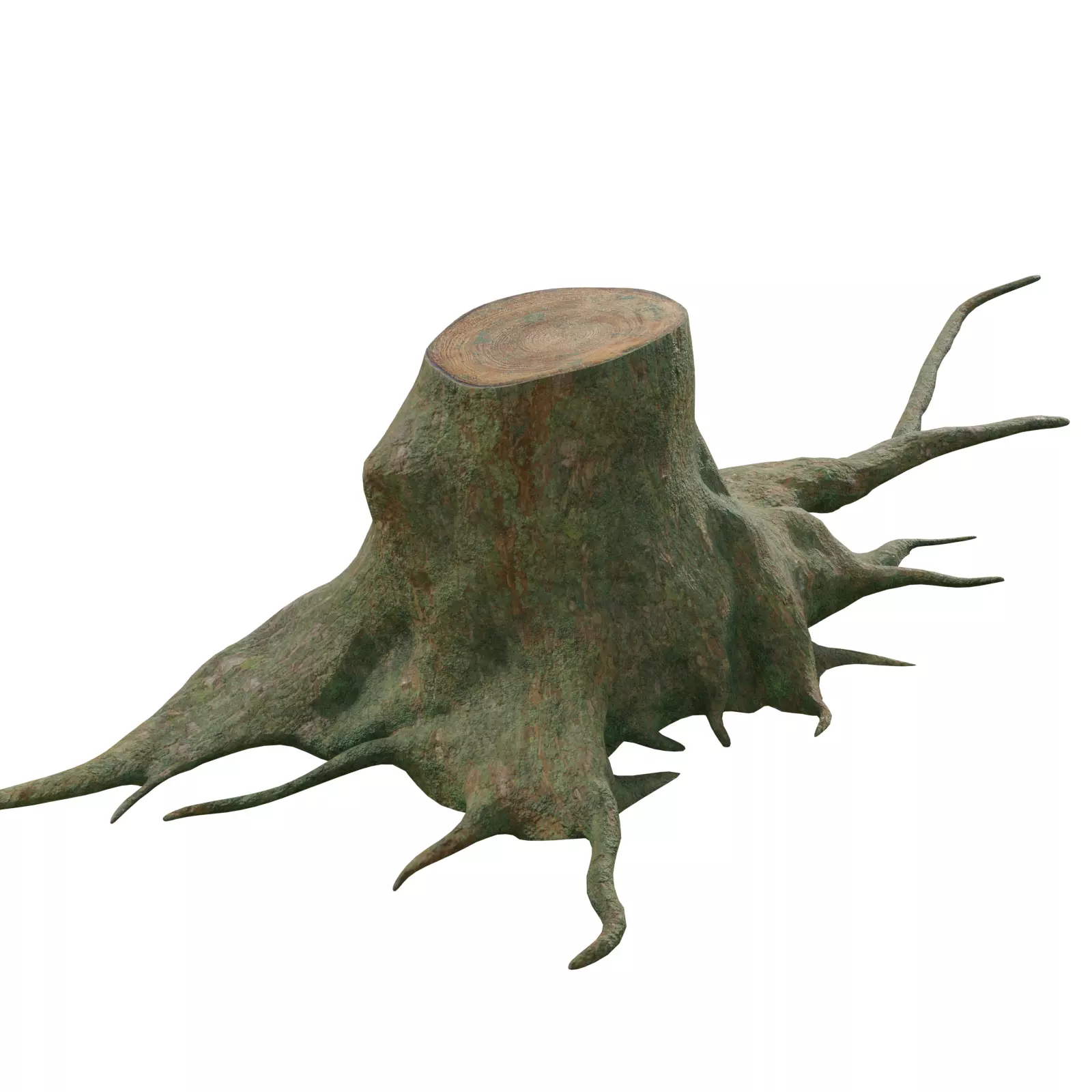 tree root 3D model_0