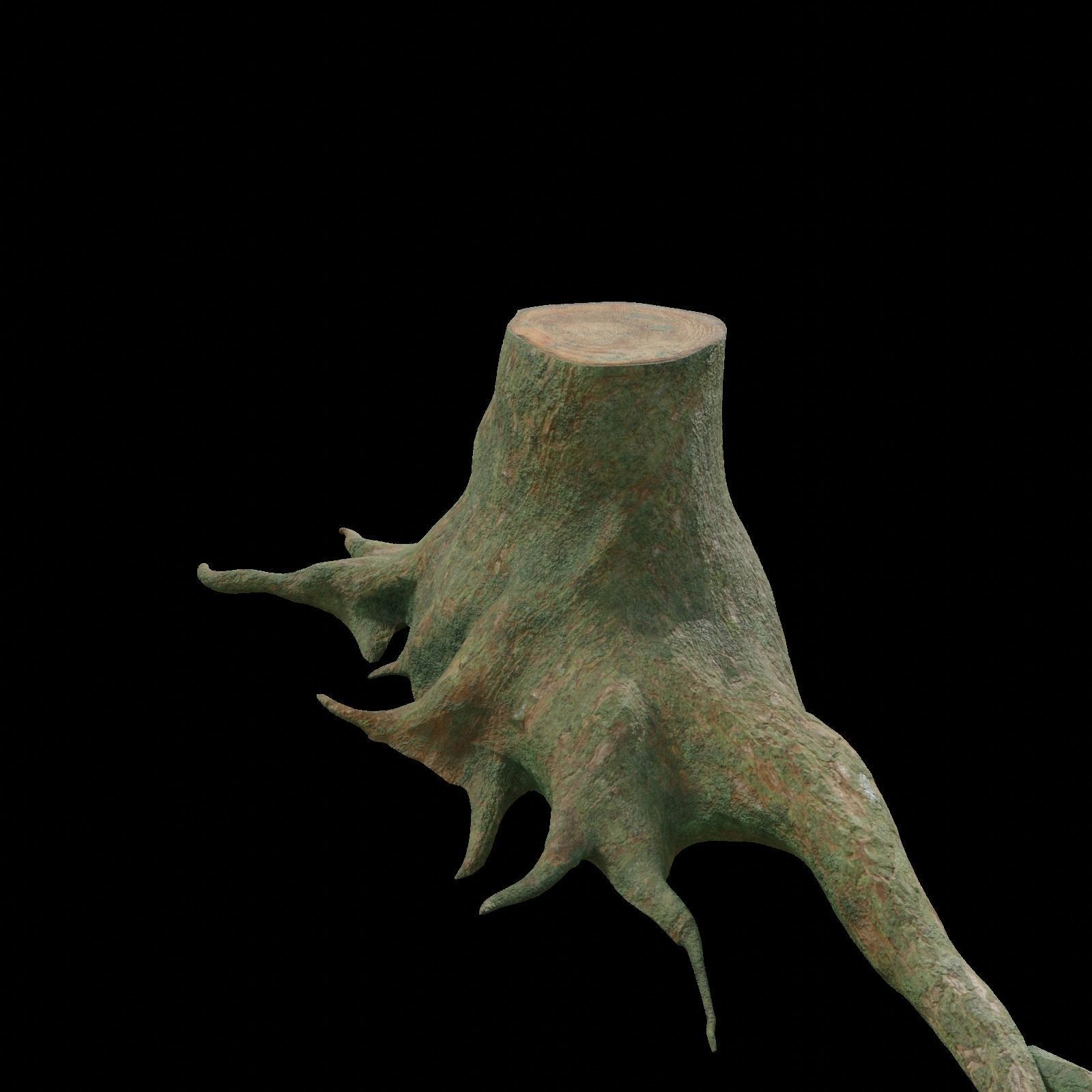 tree root 3D model_4