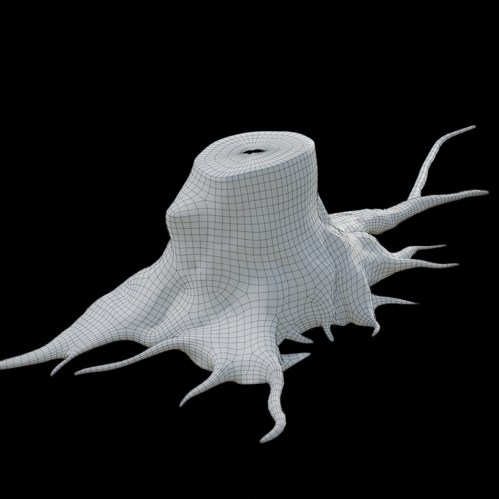 tree root 3D model_6