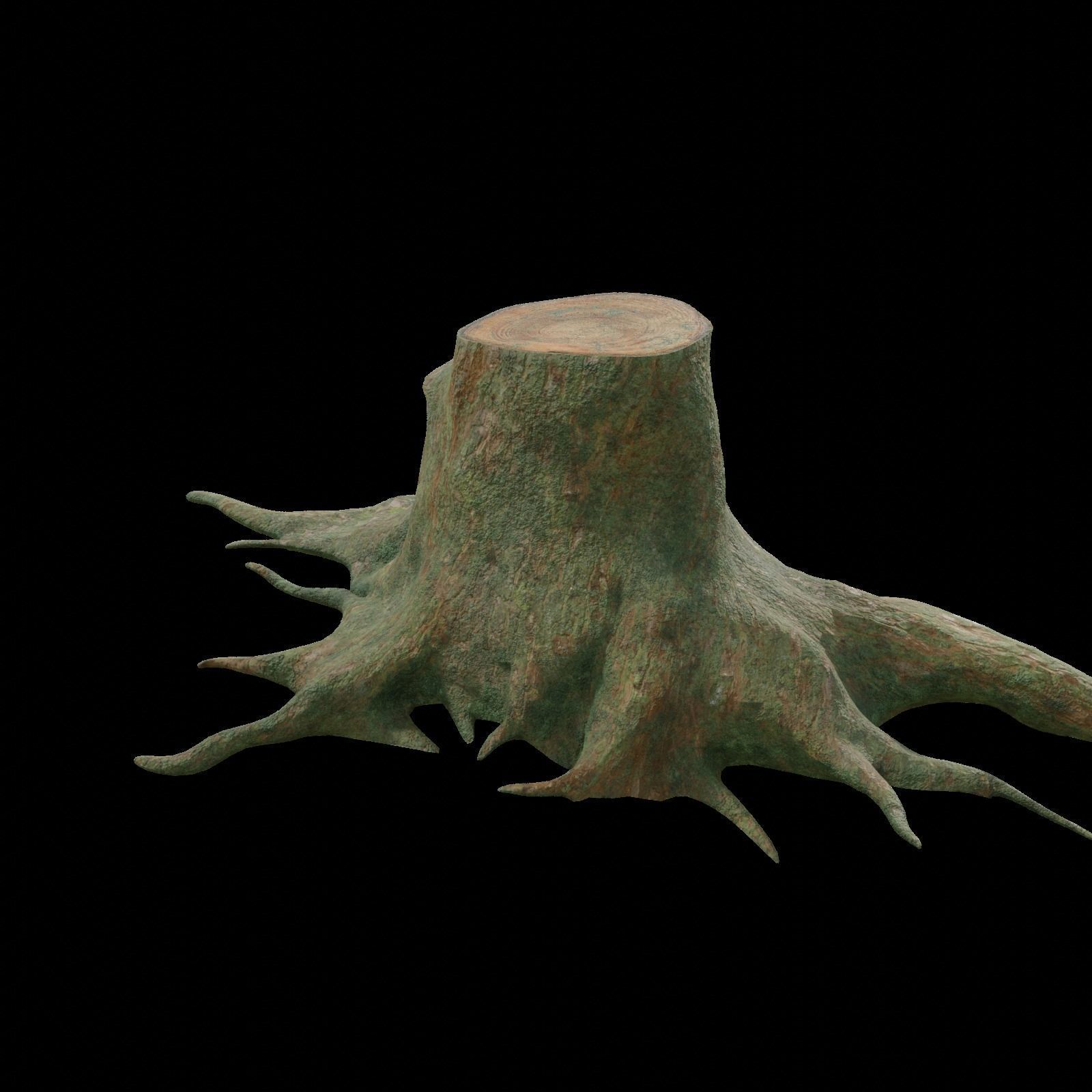 tree root 3D model_5