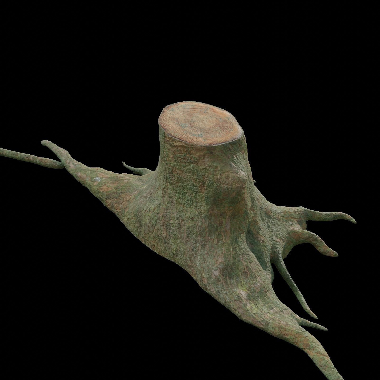 tree root 3D model_2