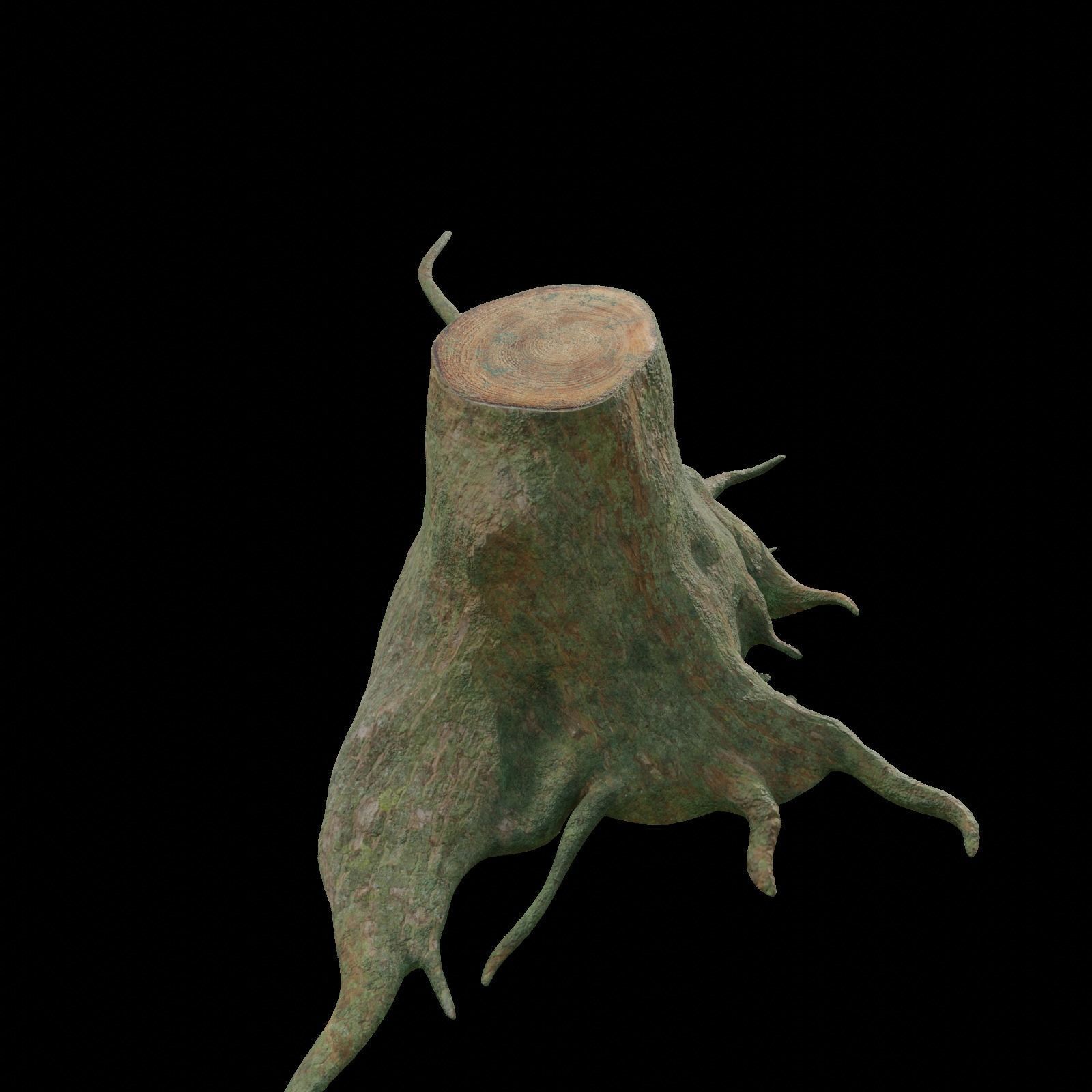 tree root 3D model_1