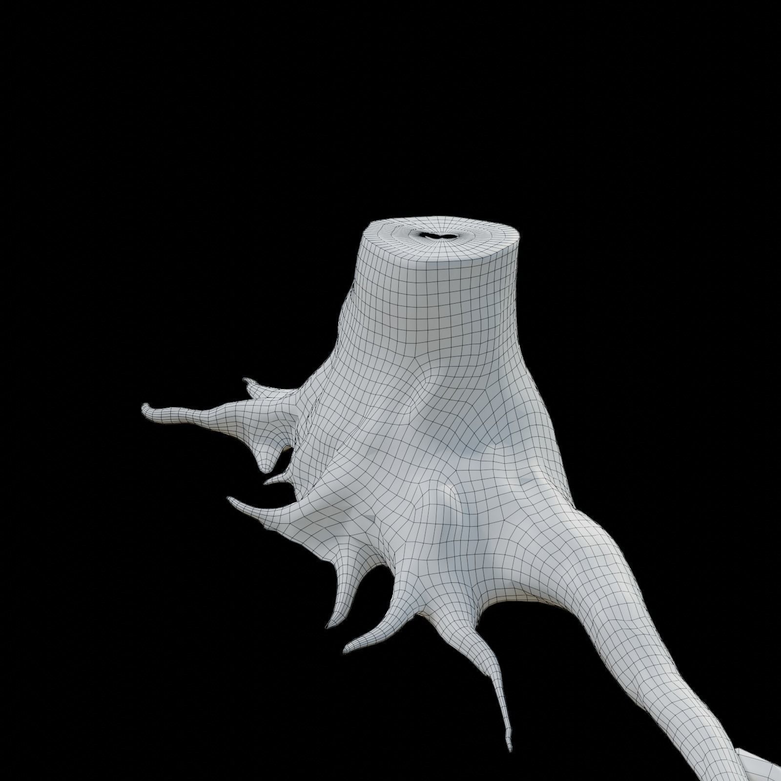 tree root 3D model_8