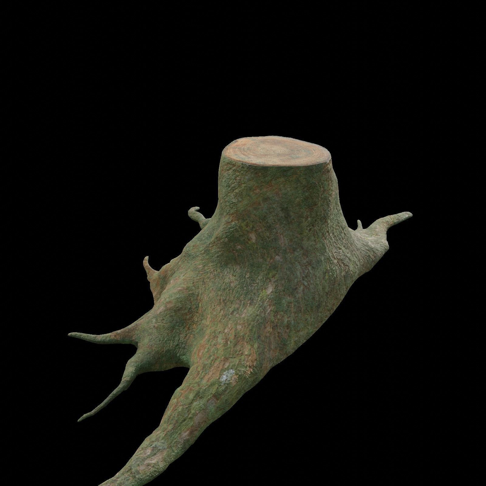 tree root 3D model_3