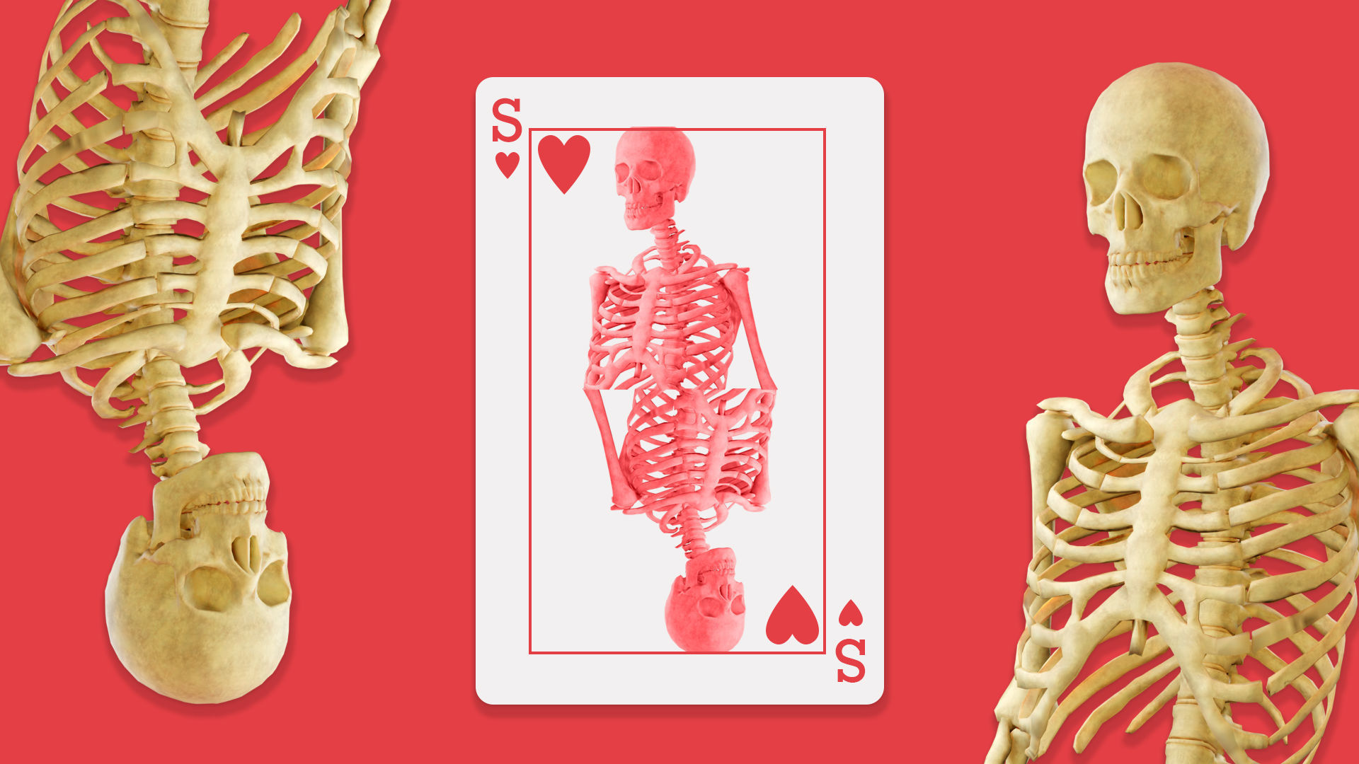 Skeleton - Human Low-poly 3D model_5