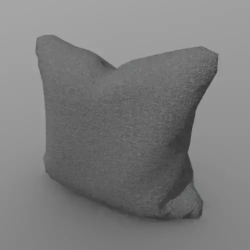 Cushion pillow