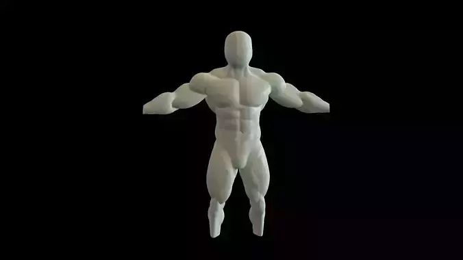 Human Anatomy - Man 3D model