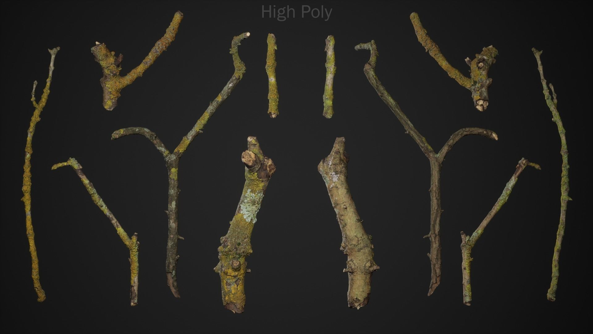 Mossy Branches 4K Photoscanned Low-poly 3D model_2