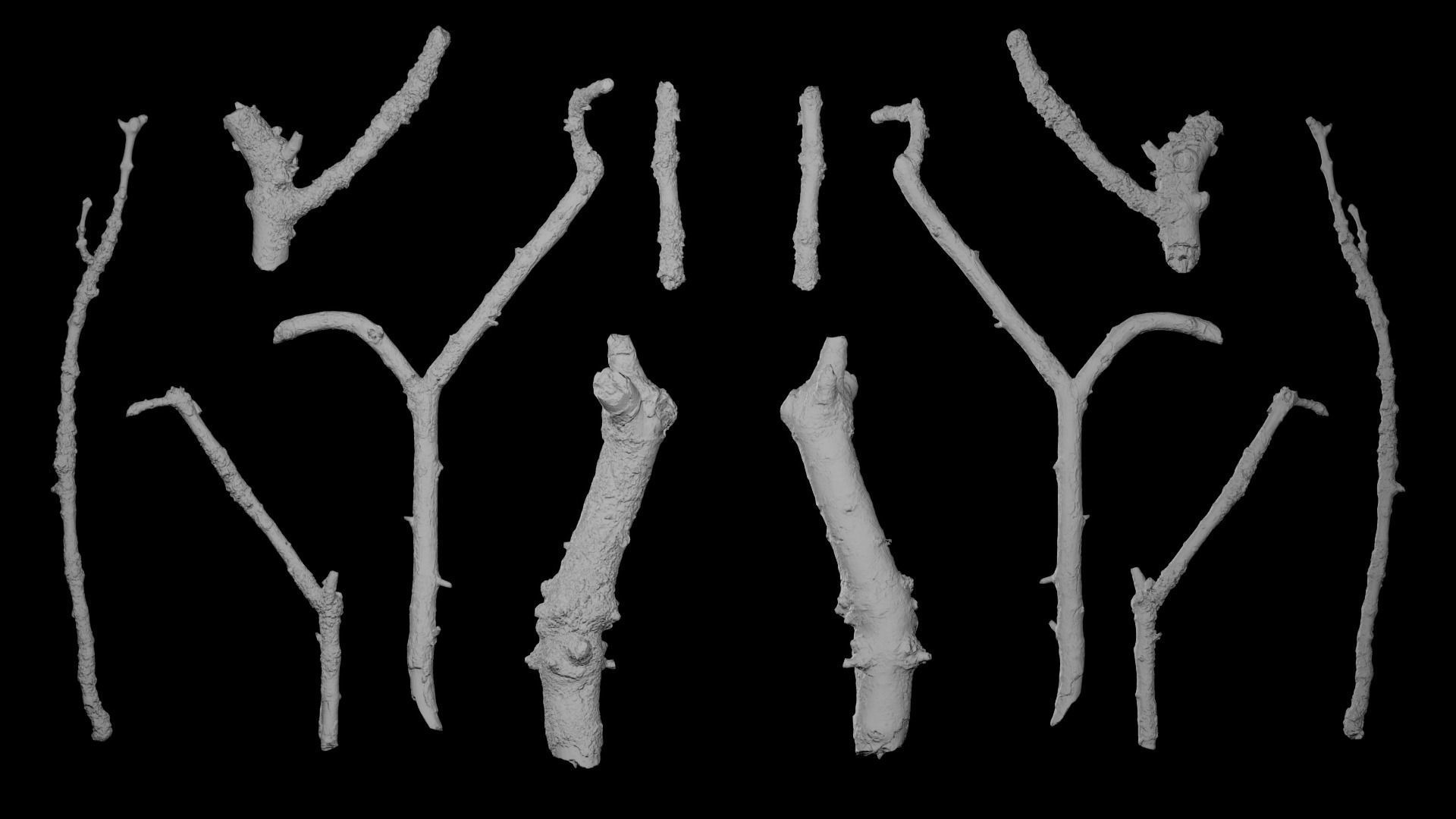 Mossy Branches 4K Photoscanned Low-poly 3D model_12