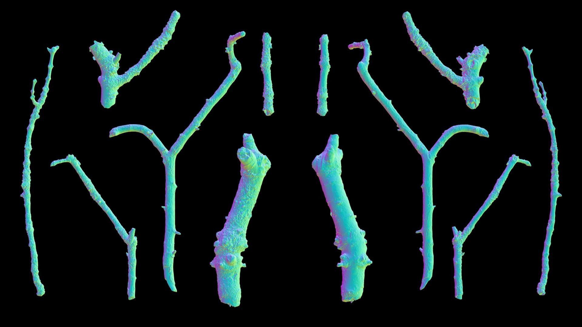 Mossy Branches 4K Photoscanned Low-poly 3D model_17