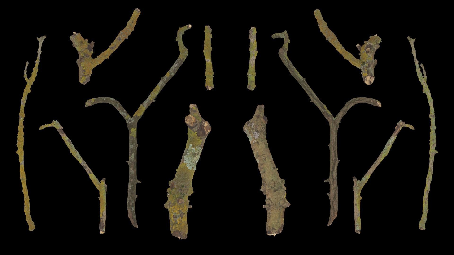 Mossy Branches 4K Photoscanned Low-poly 3D model_18