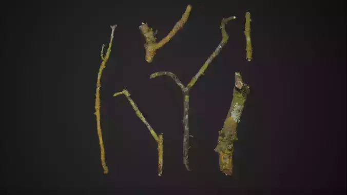 Mossy Branches 4K Photoscanned  Low-poly 3D model