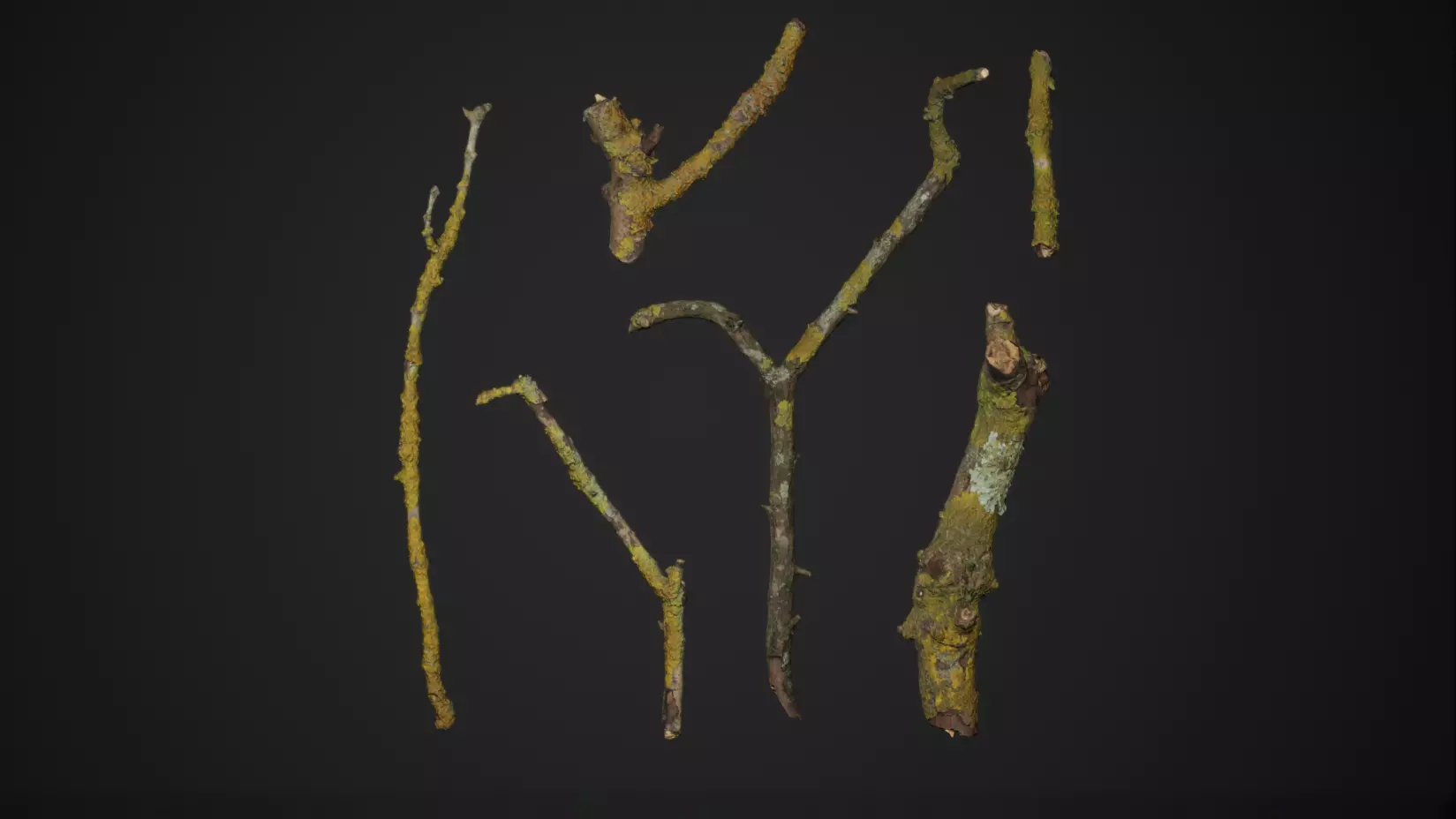 Mossy Branches 4K Photoscanned Low-poly 3D model_0