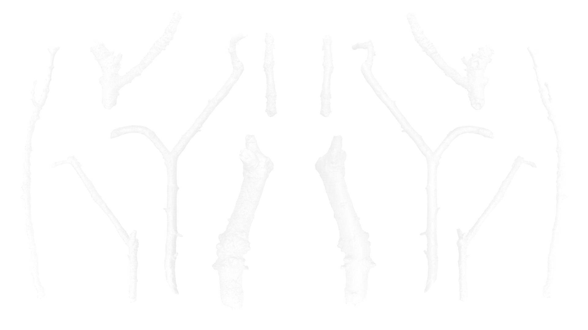 Mossy Branches 4K Photoscanned Low-poly 3D model_21