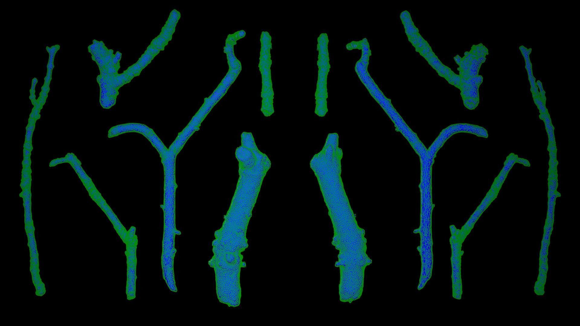 Mossy Branches 4K Photoscanned Low-poly 3D model_7