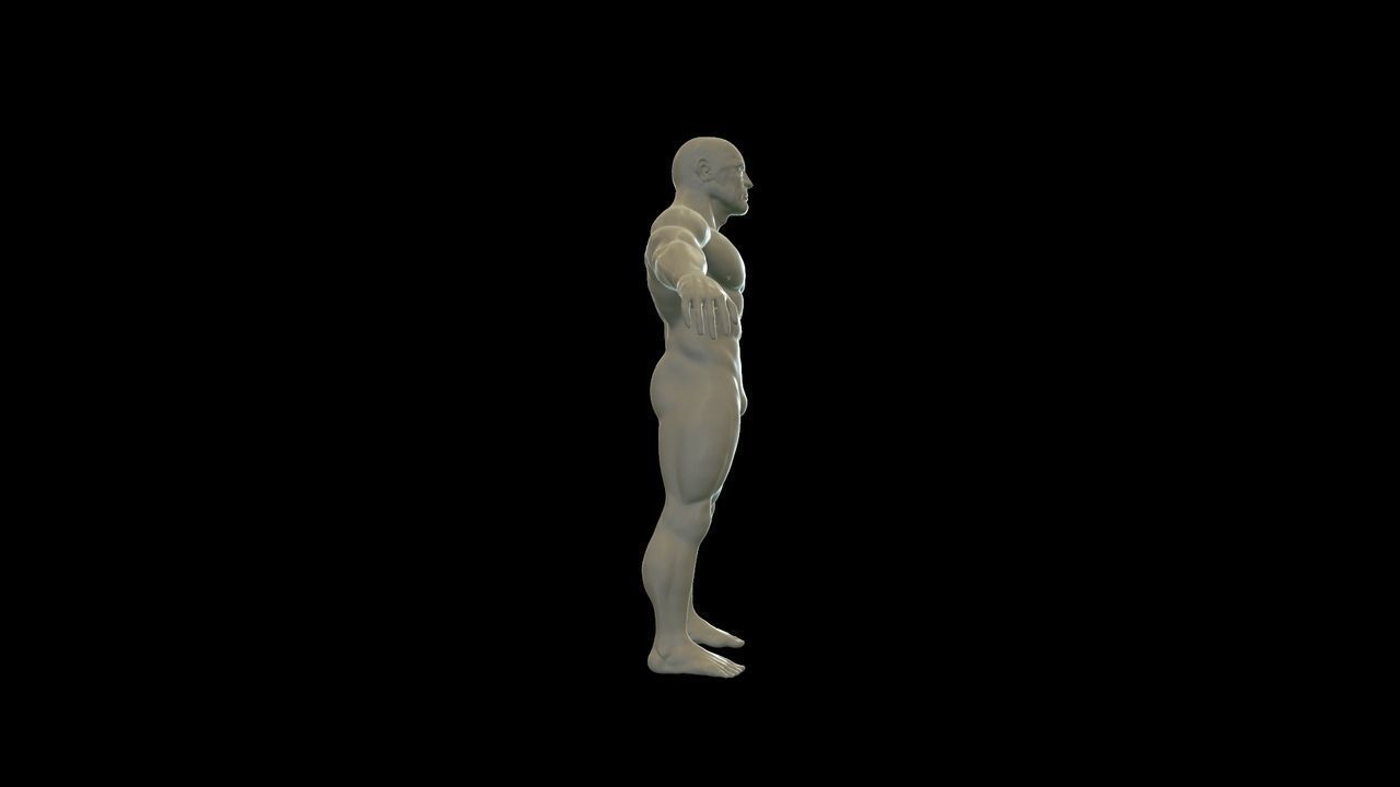 Human -  Man  3D model_2