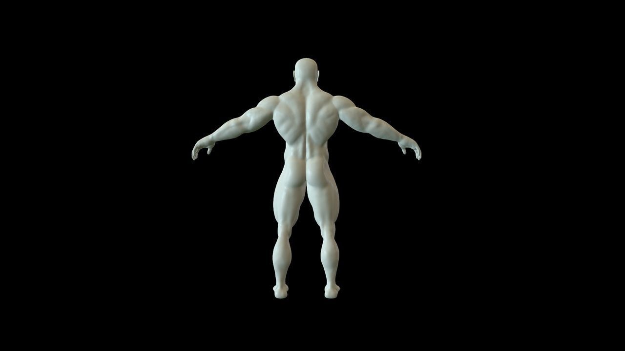 Human -  Man  3D model_3