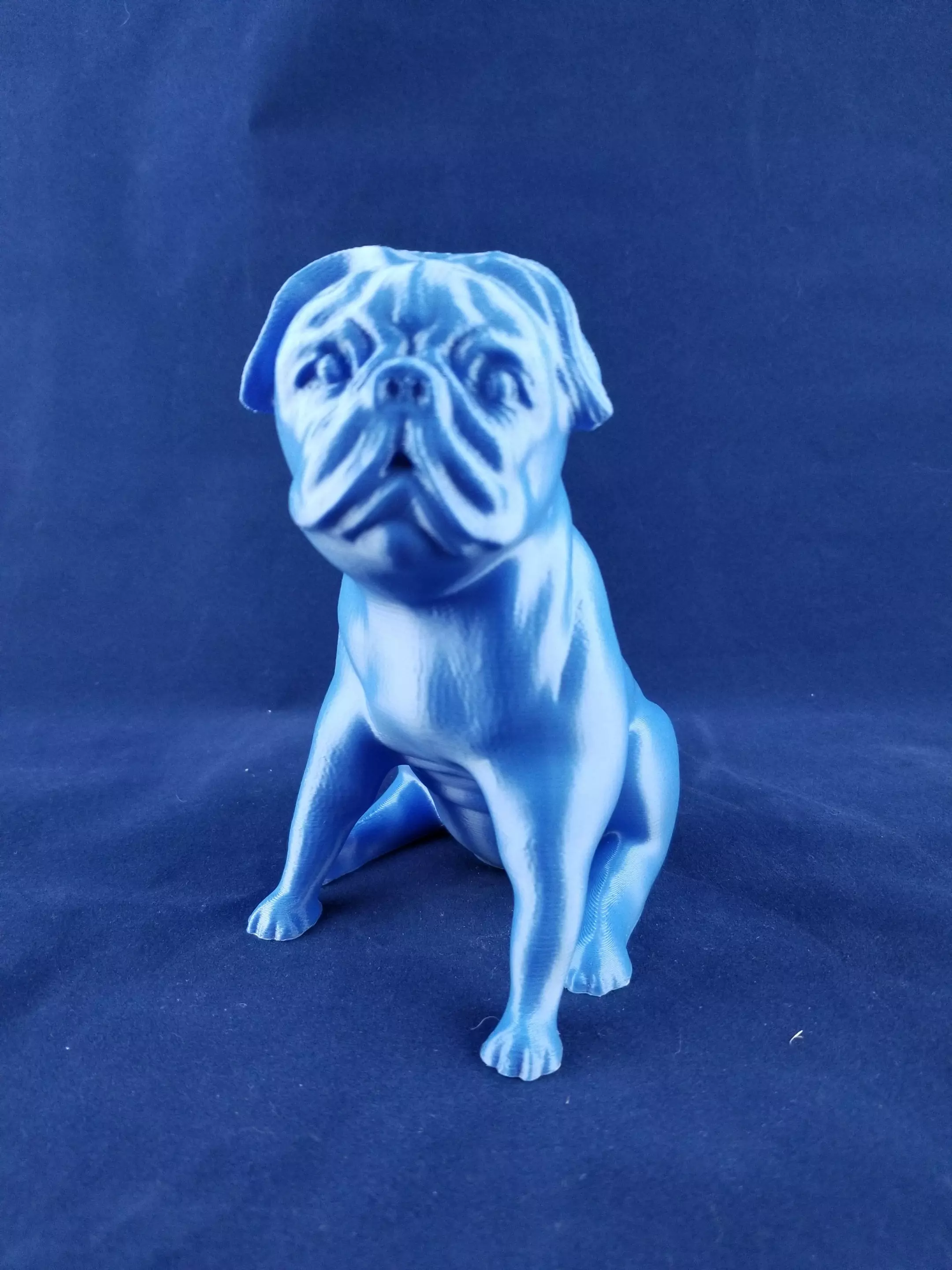 Pug Dog 3D print model_0