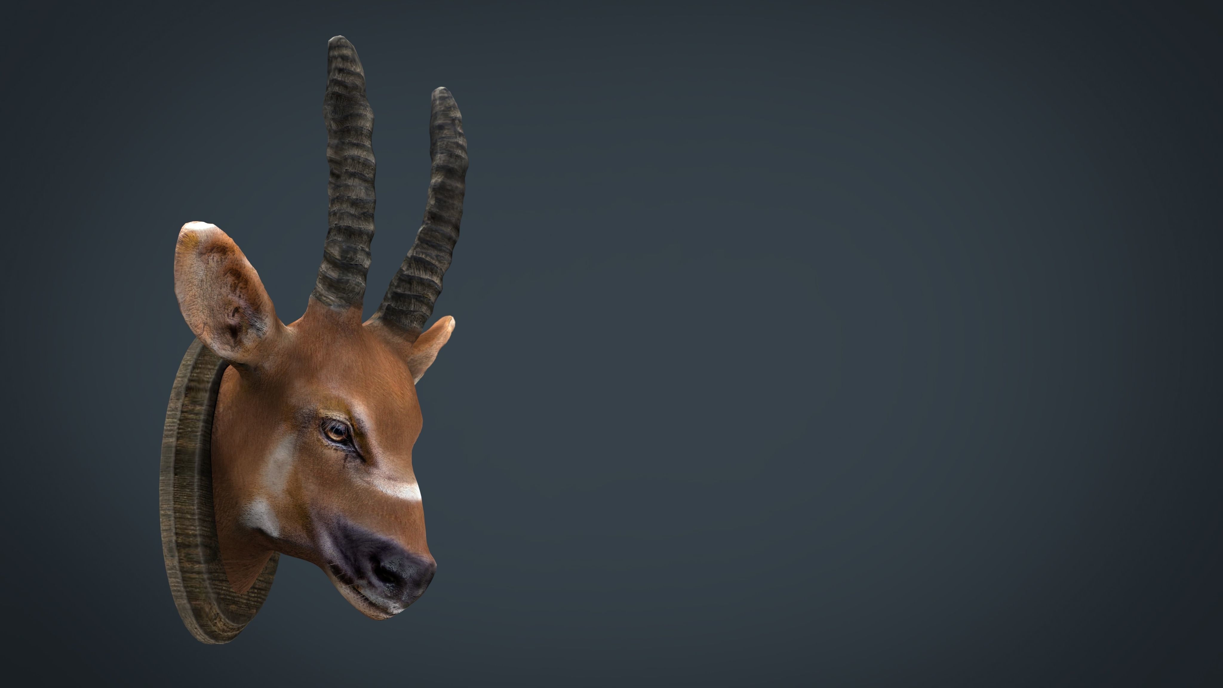 African Antelope mount Low-poly 3D model_8
